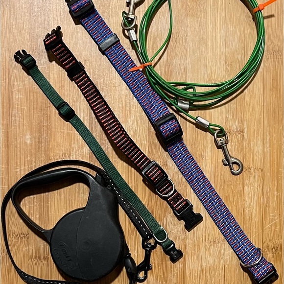 Dog Accessories - Picture 7 of 12